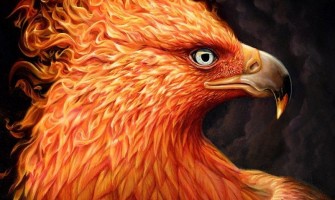 Jon Ching's stunning surreal animal portraits