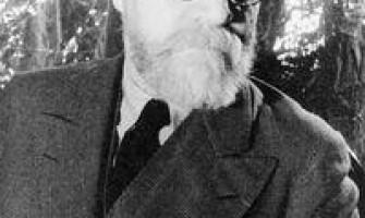 The Artist: Henri Matisse The Artist: Henri Matisse